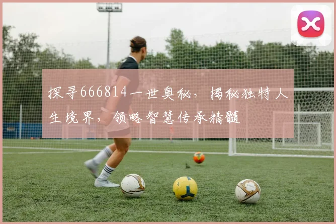 探寻666814一世奥秘，揭秘独特人生境界，领略智慧传承精髓