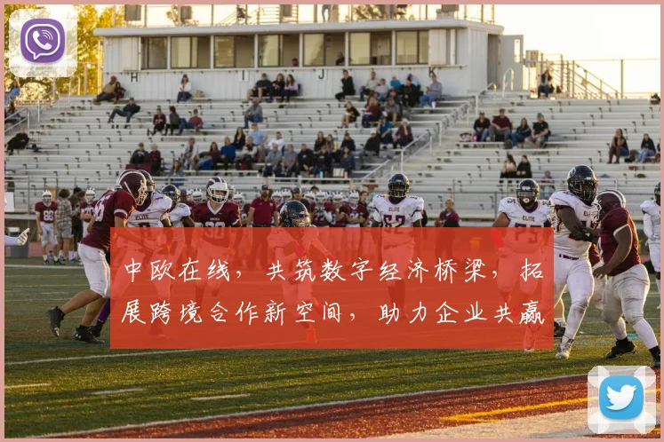 中欧在线，共筑数字经济桥梁，拓展跨境合作新空间，助力企业共赢发展