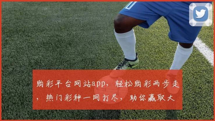 购彩平台网站app，轻松购彩两步走，热门彩种一网打尽，助你赢取大奖