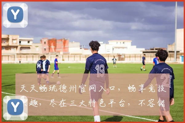 天天畅玩德州官网入口，畅享竞技乐趣，尽在三大特色平台，不容错过