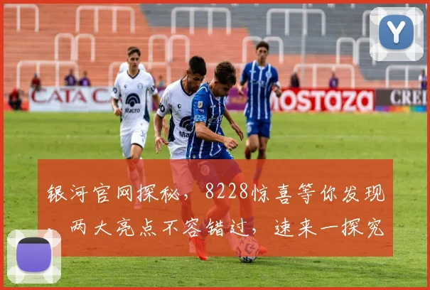 银河官网探秘，8228惊喜等你发现，两大亮点不容错过，速来一探究竟